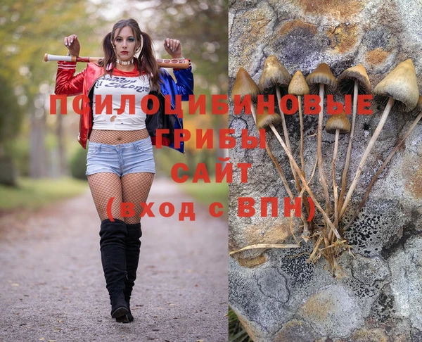 ALPHA-PVP Белокуриха