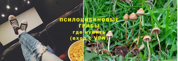 2c-b Беломорск