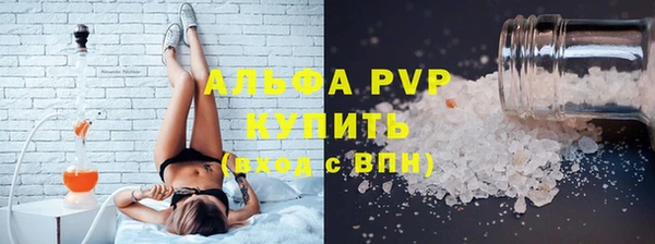 spice Богданович