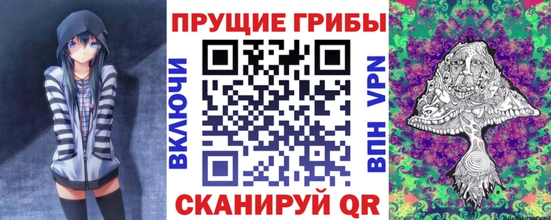 Купить где Бахчисарай Галлюциногенные грибы мицелий